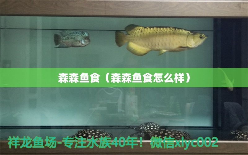 森森魚食（森森魚食怎么樣）