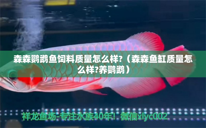 森森鸚鵡魚(yú)飼料質(zhì)量怎么樣?（森森魚(yú)缸質(zhì)量怎么樣?養(yǎng)鸚鵡） 鸚鵡魚(yú)