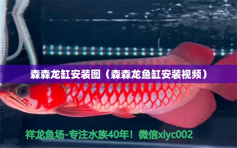 森森龍缸安裝圖（森森龍魚(yú)缸安裝視頻） 森森魚(yú)缸