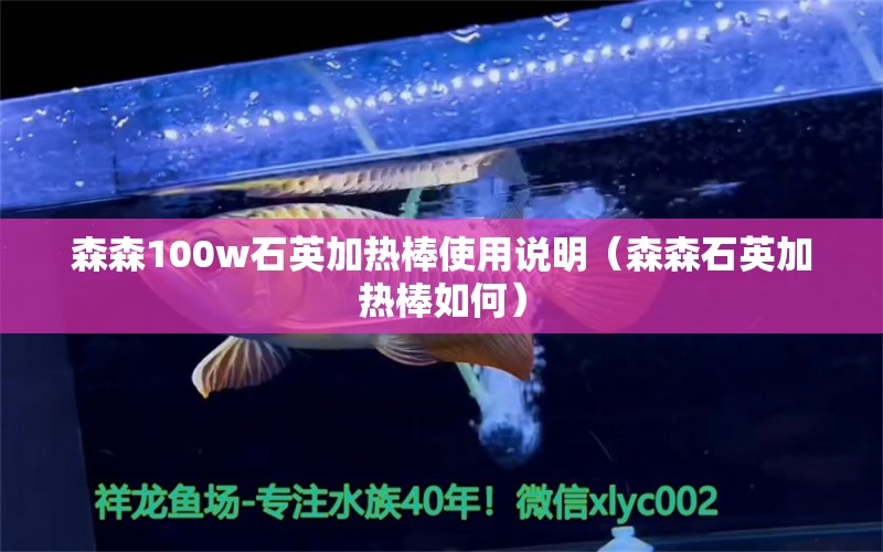 森森100w石英加熱棒使用說明（森森石英加熱棒如何）