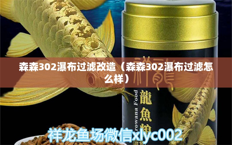 森森302瀑布過濾改造（森森302瀑布過濾怎么樣） 森森魚缸