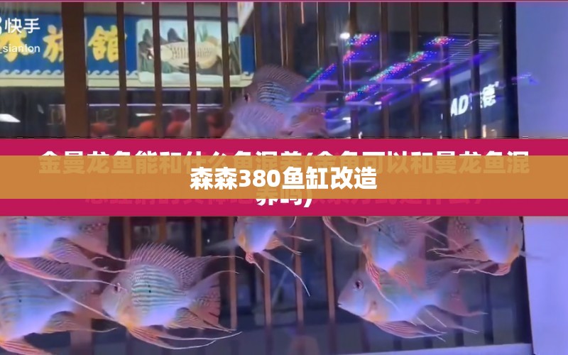 森森380魚缸改造 水族問答 第1張