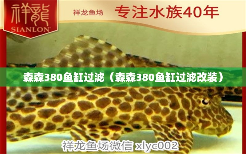 森森380魚缸過濾（森森380魚缸過濾改裝） 森森魚缸