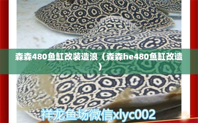 森森480魚缸改裝造浪（森森h(huán)e480魚缸改造）