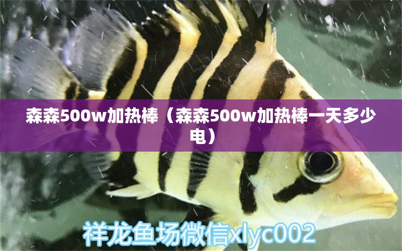 森森500w加熱棒（森森500w加熱棒一天多少電）