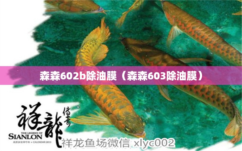 森森602b除油膜（森森603除油膜）