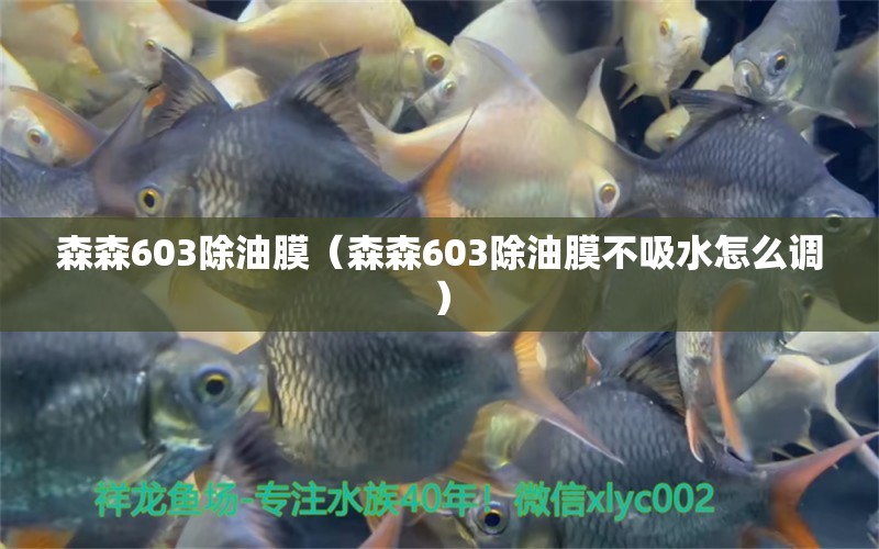 森森603除油膜（森森603除油膜不吸水怎么調(diào)）