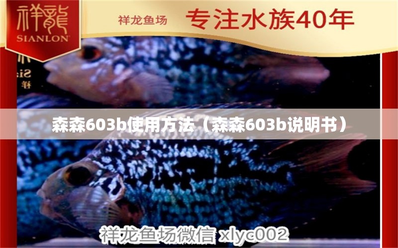 森森603b使用方法（森森603b說明書）