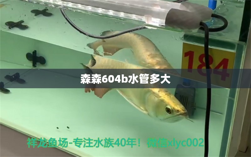 森森604b水管多大 森森魚缸 第1張