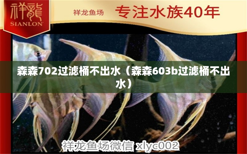 森森702過濾桶不出水（森森603b過濾桶不出水）