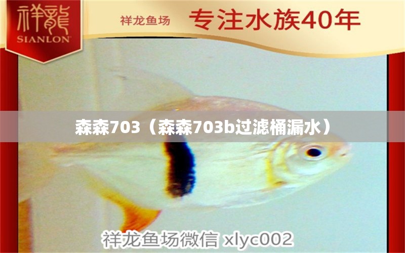 森森703（森森703b過(guò)濾桶漏水） 森森魚缸