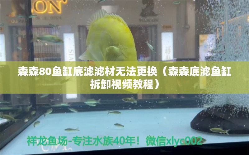 森森80魚缸底濾濾材無法更換（森森底濾魚缸拆卸視頻教程）