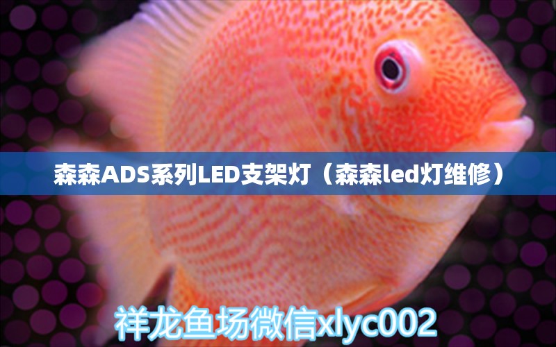 森森ADS系列LED支架燈（森森led燈維修）