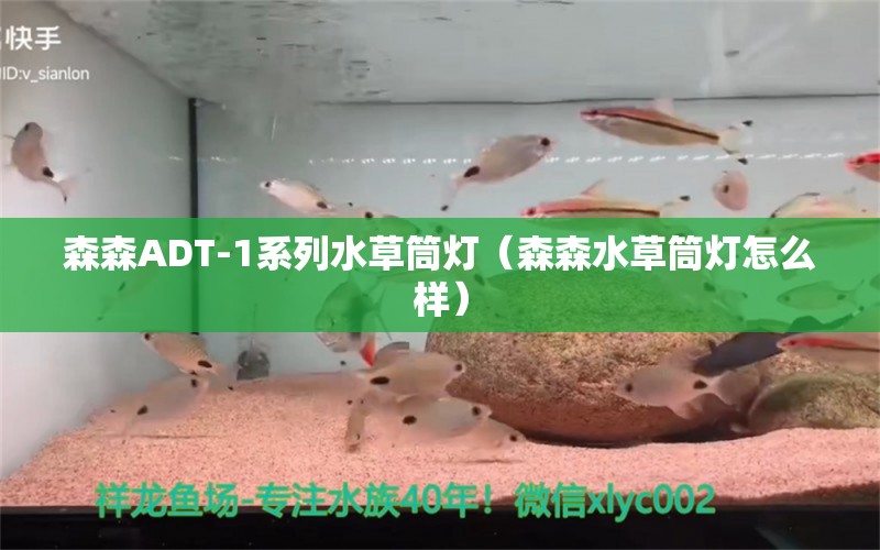 森森ADT-1系列水草筒燈（森森水草筒燈怎么樣）