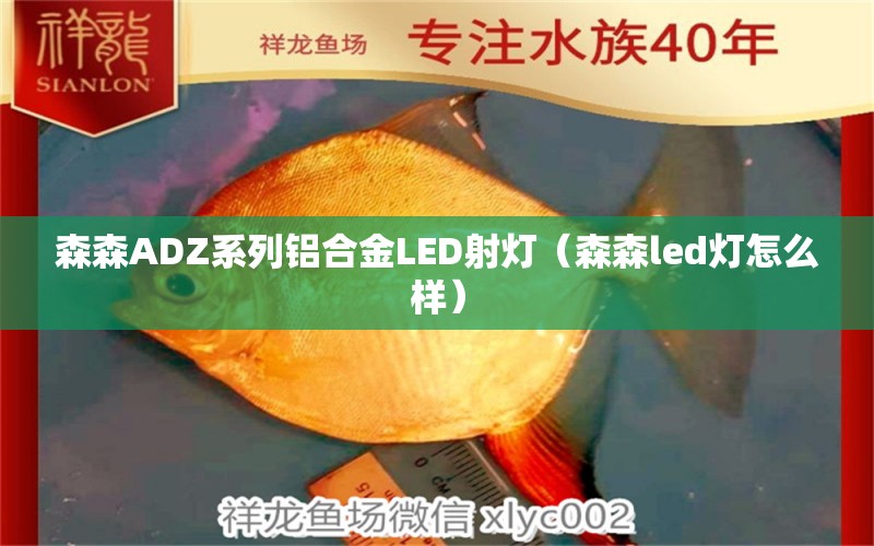 森森ADZ系列鋁合金LED射燈（森森led燈怎么樣）