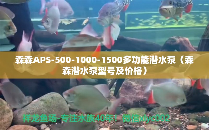 森森APS-500-1000-1500多功能潛水泵（森森潛水泵型號及價格） 森森魚缸