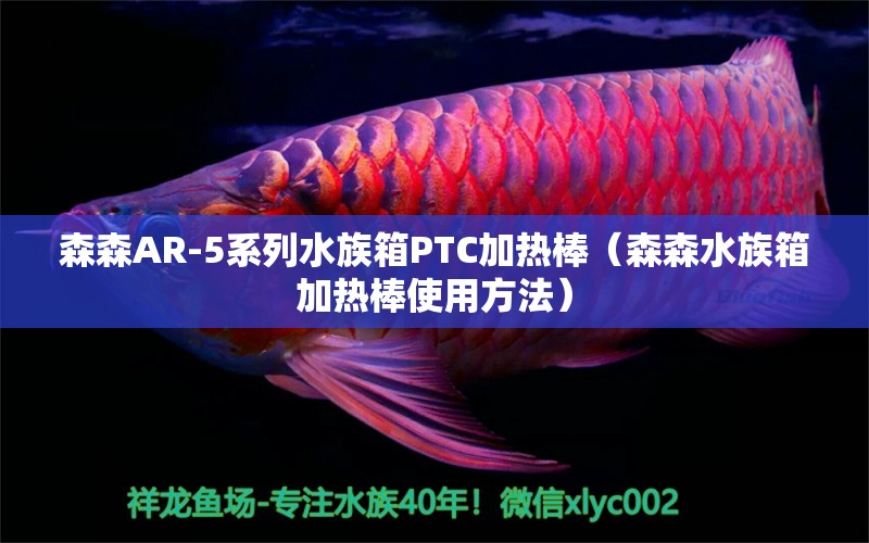 森森AR-5系列水族箱PTC加熱棒（森森水族箱加熱棒使用方法）