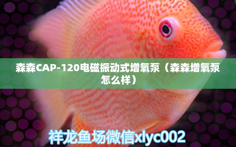 森森CAP-120電磁振動(dòng)式增氧泵（森森增氧泵怎么樣） 森森魚缸