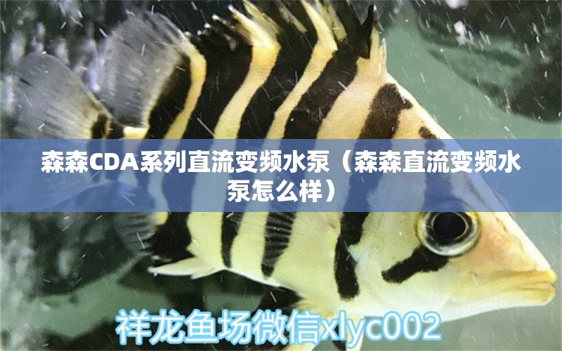 森森CDA系列直流變頻水泵（森森直流變頻水泵怎么樣）