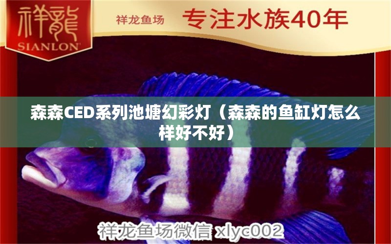 森森CED系列池塘幻彩燈（森森的魚缸燈怎么樣好不好） 森森魚缸