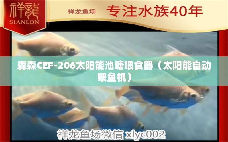 森森CEF-206太陽能池塘喂食器（太陽能自動喂魚機）