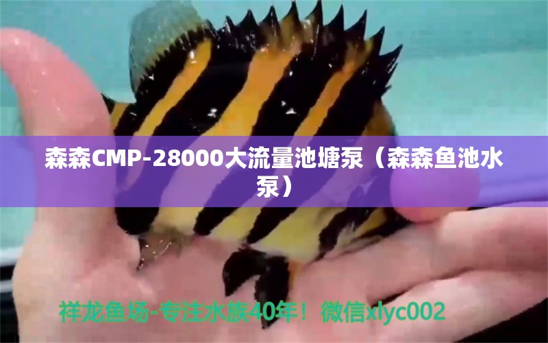 森森CMP-28000大流量池塘泵（森森魚池水泵）