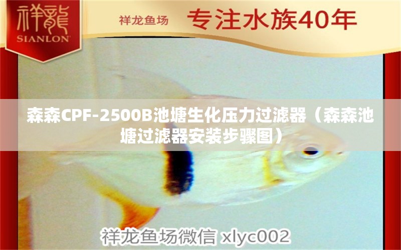 森森CPF-2500B池塘生化壓力過(guò)濾器（森森池塘過(guò)濾器安裝步驟圖）