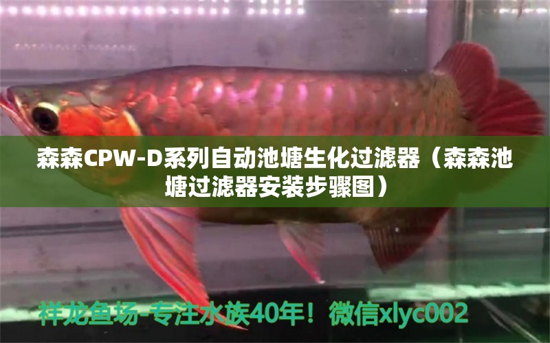 森森CPW-D系列自動池塘生化過濾器（森森池塘過濾器安裝步驟圖）