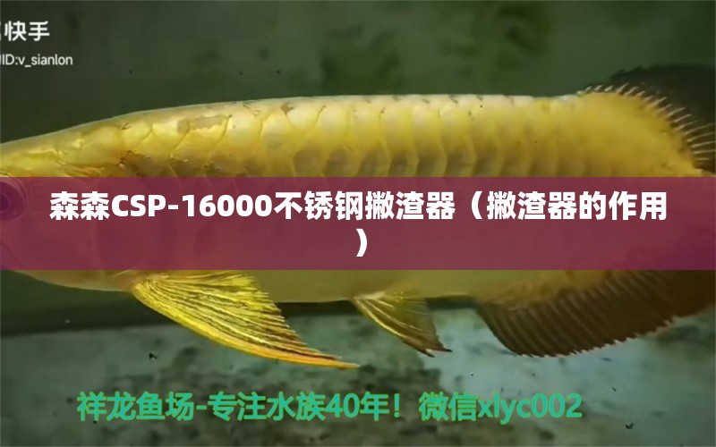 森森CSP-16000不銹鋼撇渣器（撇渣器的作用）