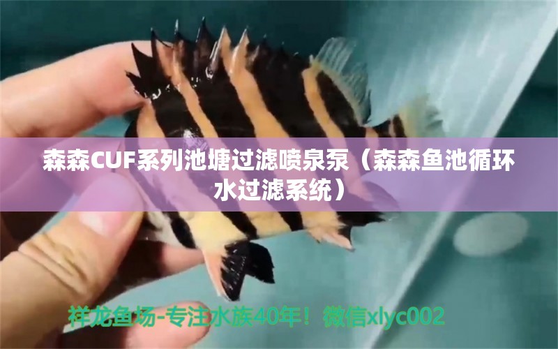 森森CUF系列池塘過濾噴泉泵（森森魚池循環(huán)水過濾系統(tǒng)）