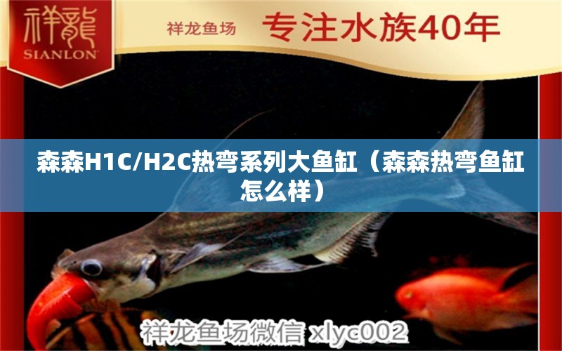 森森H1C/H2C熱彎系列大魚缸（森森熱彎魚缸怎么樣） 森森魚缸