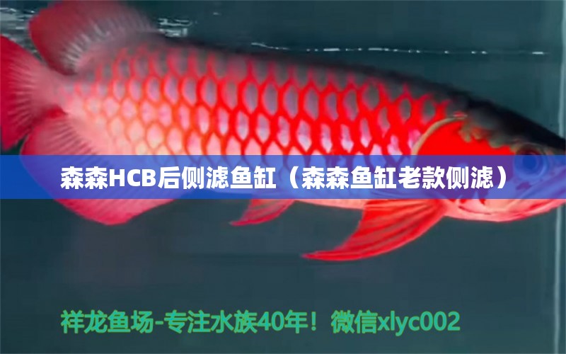 森森HCB后側(cè)濾魚缸（森森魚缸老款側(cè)濾） 森森魚缸