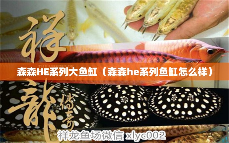 森森HE系列大魚缸（森森h(huán)e系列魚缸怎么樣）