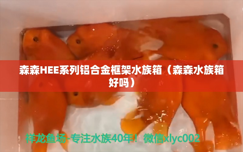 森森HEE系列鋁合金框架水族箱（森森水族箱好嗎）