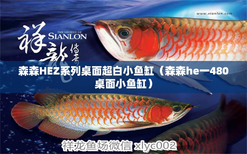 森森HEZ系列桌面超白小魚缸（森森h(huán)e一480桌面小魚缸）