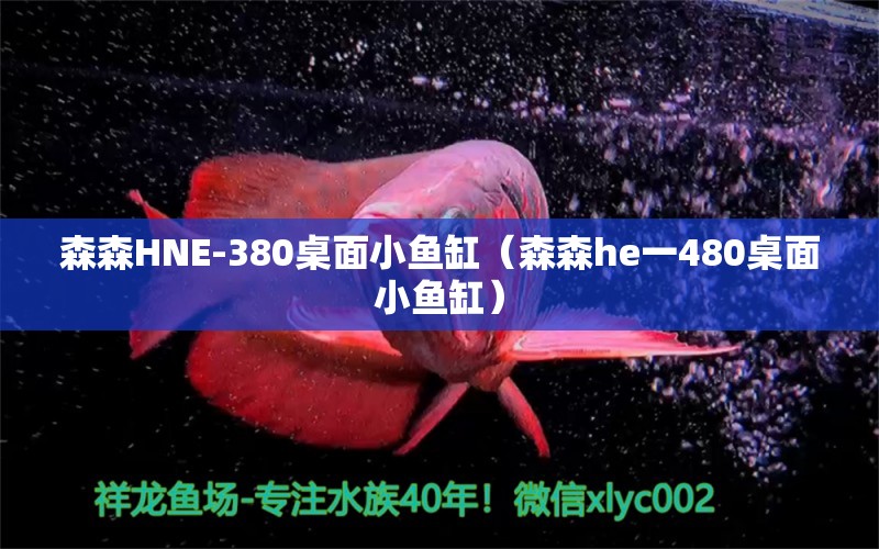 森森HNE-380桌面小魚(yú)缸（森森h(huán)e一480桌面小魚(yú)缸）