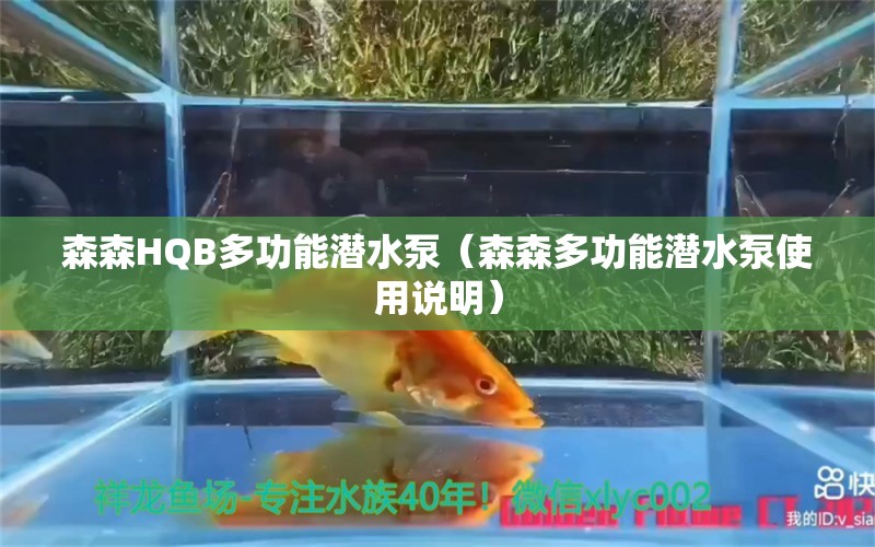 森森HQB多功能潛水泵（森森多功能潛水泵使用說明）