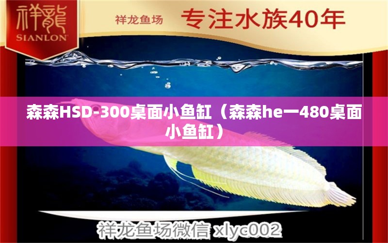 森森HSD-300桌面小魚(yú)缸（森森h(huán)e一480桌面小魚(yú)缸） 森森魚(yú)缸