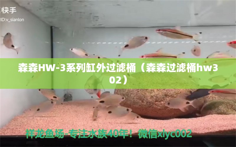 森森HW-3系列缸外過(guò)濾桶（森森過(guò)濾桶hw302） 森森魚(yú)缸