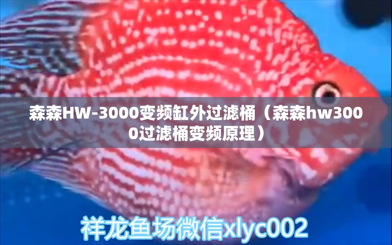 森森HW-3000變頻缸外過濾桶（森森h(huán)w3000過濾桶變頻原理）