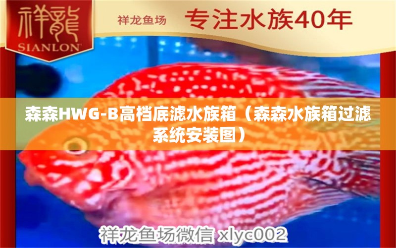 森森HWG-B高檔底濾水族箱（森森水族箱過濾系統(tǒng)安裝圖） 魚缸/水族箱