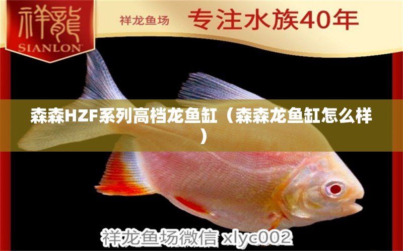 森森HZF系列高檔龍魚缸（森森龍魚缸怎么樣）