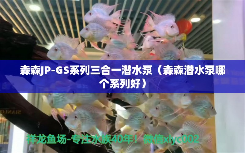 森森JP-GS系列三合一潛水泵（森森潛水泵哪個(gè)系列好） 森森魚缸