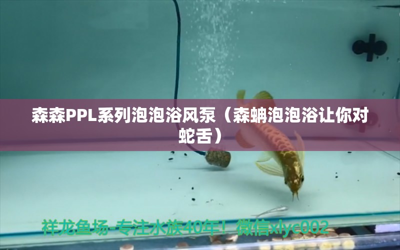 森森PPL系列泡泡浴風(fēng)泵（森蚺泡泡浴讓你對(duì)蛇舌）