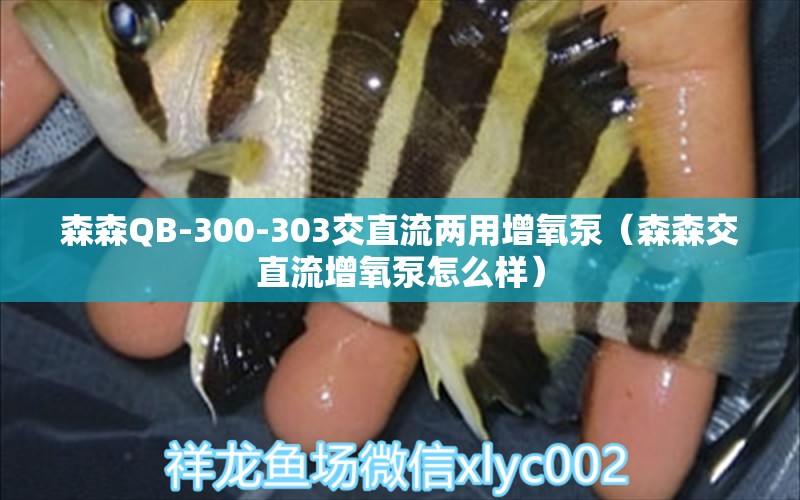 森森QB-300-303交直流兩用增氧泵（森森交直流增氧泵怎么樣）