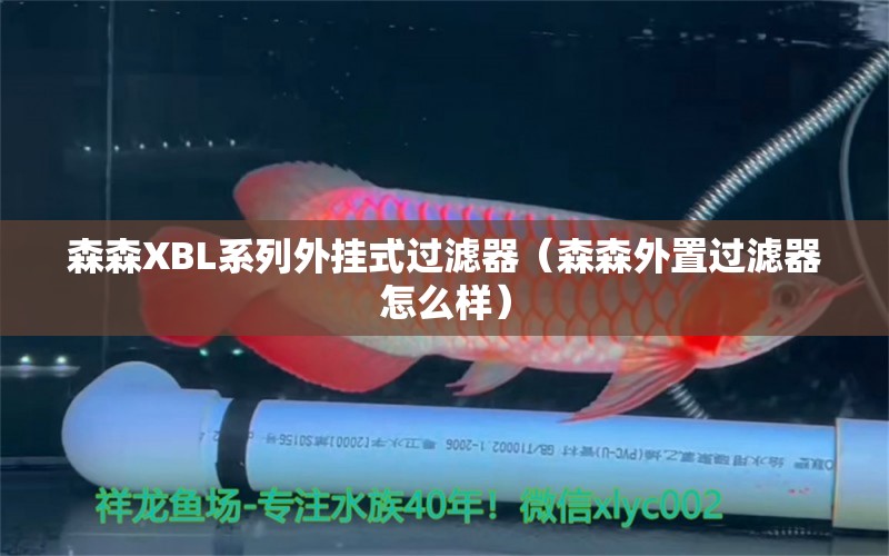 森森XBL系列外掛式過濾器（森森外置過濾器怎么樣）