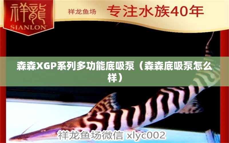 森森XGP系列多功能底吸泵（森森底吸泵怎么樣）