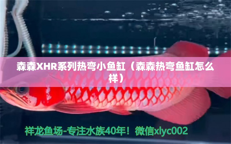 森森XHR系列熱彎小魚(yú)缸（森森熱彎魚(yú)缸怎么樣）