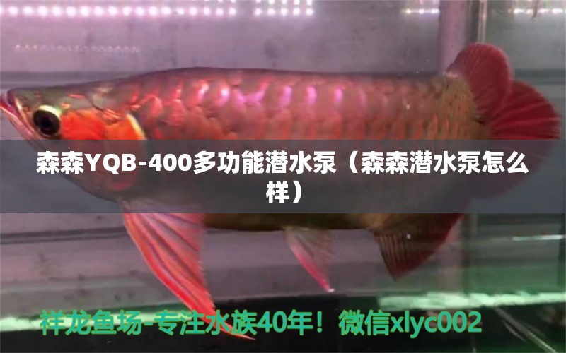 森森YQB-400多功能潛水泵（森森潛水泵怎么樣）