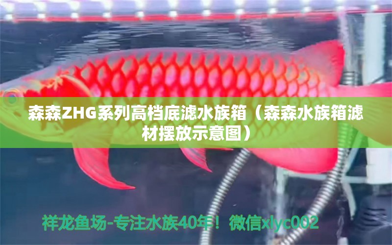 森森ZHG系列高檔底濾水族箱（森森水族箱濾材擺放示意圖）